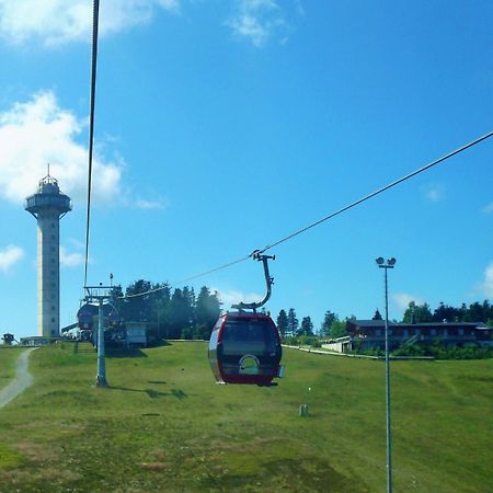 Fewo E am Kurpark Willingen  Zewnętrze zdjęcie